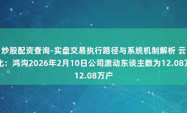 炒股配资查询-实盘交易执行路径与系统机制解析 云天化：鸿沟2026年2月10日公司激动东谈主数为12.08万户