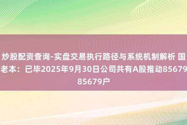 炒股配资查询-实盘交易执行路径与系统机制解析 国投老本：已毕2025年9月30日公司共有A股推动85679户