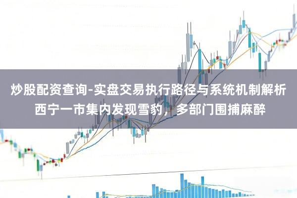 炒股配资查询-实盘交易执行路径与系统机制解析 西宁一市集内发现雪豹，多部门围捕麻醉