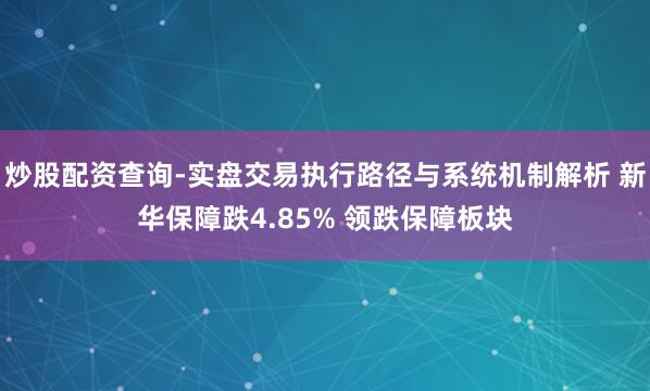 炒股配资查询-实盘交易执行路径与系统机制解析 新华保障跌4.85% 领跌保障板块