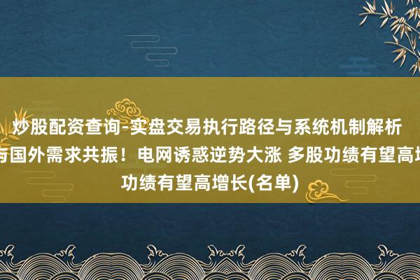 炒股配资查询-实盘交易执行路径与系统机制解析 国内电改与国外需求共振！电网诱惑逆势大涨 多股功绩有望高增长(名单)